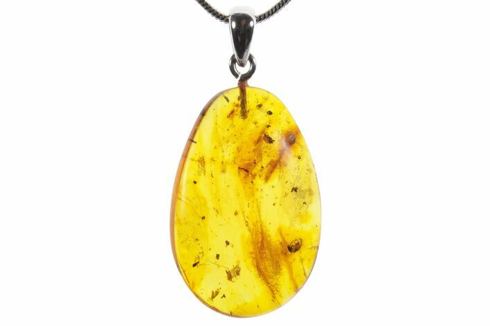 Polished Baltic Amber Pendant (Necklace) - Contains Fly & Mite! #352961
